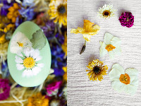 terrain Pressed Flowers Easter Eggs